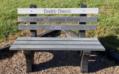 Exchange Delivers ‘Buddy Bench’ to Enon Primary School